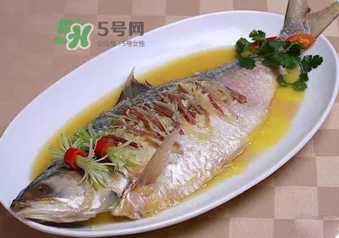 鰣魚怎么讀？鰣魚是什么魚