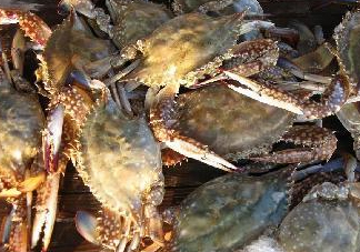 梭子蟹為什么這么貴？梭子蟹和大閘蟹哪個貴？