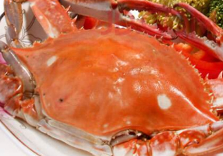 飛蟹不能和什么一起吃？飛蟹和什么不能一起吃？