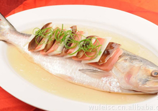 為什么吃清蒸海鰣魚都是半條？鰣魚有什么營養(yǎng)價值