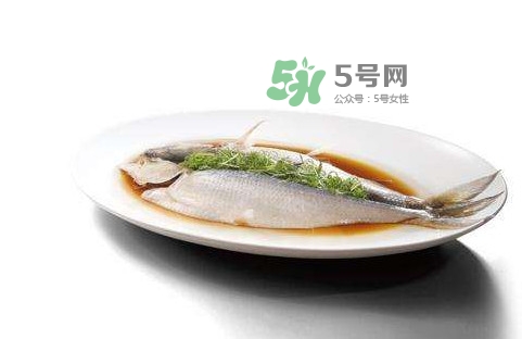 鰣魚刺多嗎？鰣魚可以養(yǎng)殖嗎