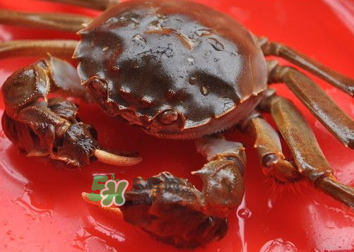 大閘蟹可以帶上高鐵嗎？坐高鐵可以帶大閘蟹嗎？