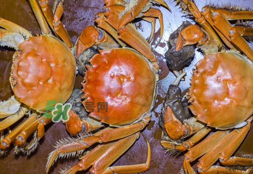 大閘蟹可以帶上高鐵嗎？坐高鐵可以帶大閘蟹嗎？