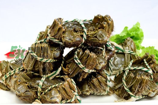 大閘蟹能活多久？大閘蟹可以活多久？