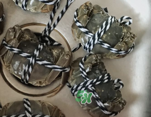 大閘蟹可以水煮嗎？大閘蟹煮多久？