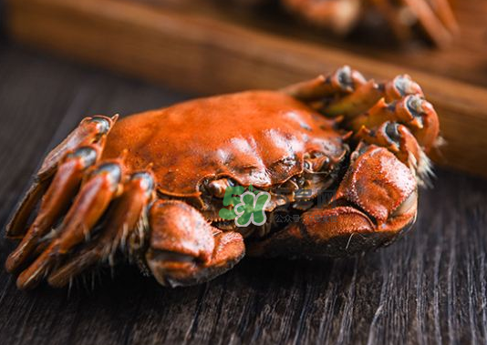 大閘蟹煮熟了能放多久？大閘蟹煮熟了可以冷凍嗎？