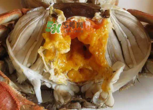 大閘蟹不能和什么一起吃？大閘蟹和什么食物相克？