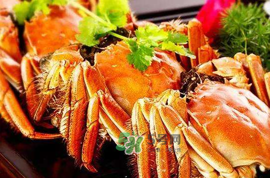 大閘蟹不能和什么一起吃？大閘蟹和什么食物相克？