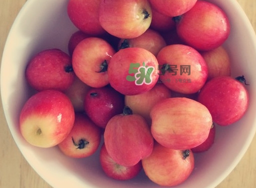 海棠果是涼性的嗎？海棠果是熱性還是涼性