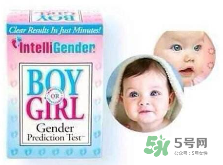 intelligender價格多少？intelligender多少錢？