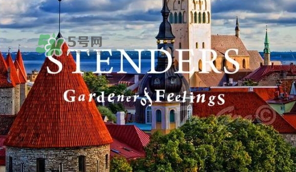 施丹蘭孕婦可以用嗎？stenders施丹蘭懷孕可以用嗎