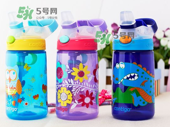 contigo水杯怎么樣？contigo水杯是什么材質(zhì)？