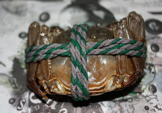 大閘蟹可以帶上高鐵嗎？坐高鐵可以帶大閘蟹嗎？