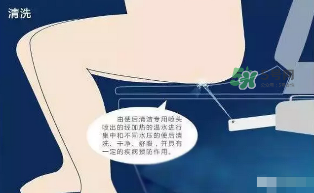 孕期可以蹲著上廁所嗎？孕期上廁所會壓到寶寶嗎？