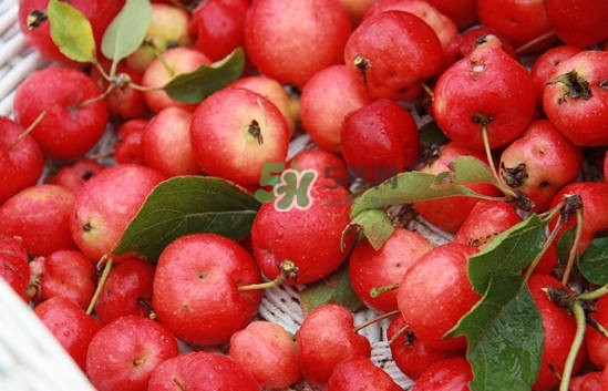 海棠果怎么做罐頭？海棠果怎么做果醬