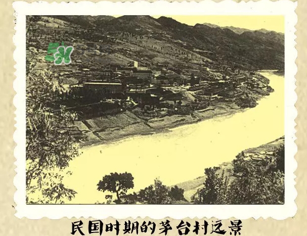 茅臺(tái)酒為什么那么貴？茅臺(tái)酒為什么這么貴