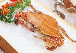 ?花蟹可以放冰箱嗎？花蟹怎么保存才新鮮？