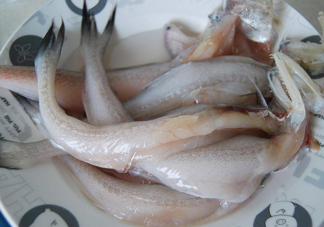 買龍頭魚怎么挑選？冰凍龍頭魚怎么去內(nèi)臟