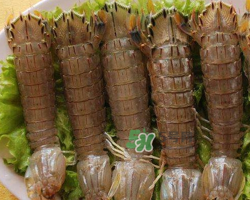 蝦蛄是皮皮蝦嗎？蝦蛄和皮皮蝦的區(qū)別