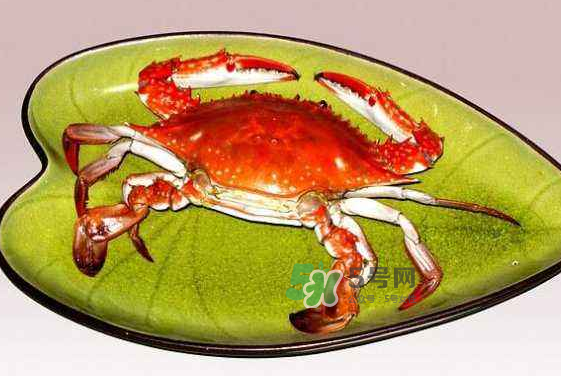 海螃蟹蒸多長時間？海螃蟹蒸多久？