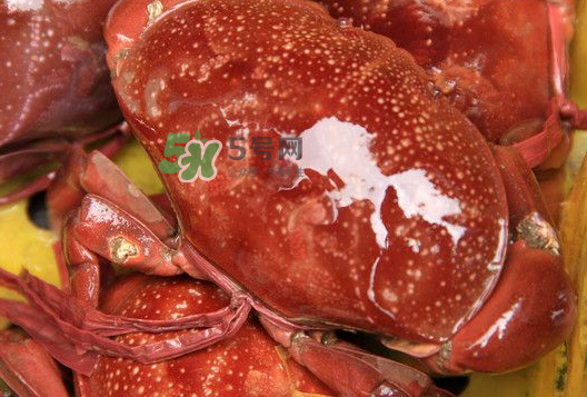 海螃蟹能冷凍保存嗎？海螃蟹放冰箱冷凍嗎？