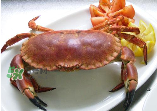 海螃蟹能冷凍保存嗎？海螃蟹放冰箱冷凍嗎？