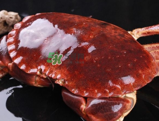 面包蟹不能和什么一起吃？吃面包蟹不能吃什么？