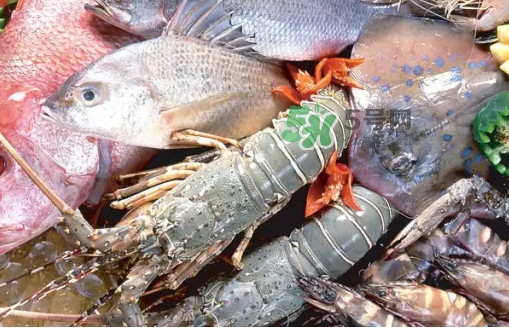 蝦蛄蝦殼怎么剝才好？蝦蛄怎么清洗