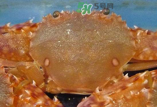 ?花蟹可以放冰箱嗎？花蟹怎么保存才新鮮？