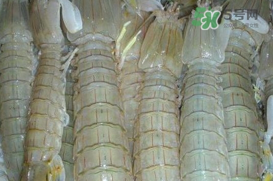 蝦蛄怎么讀？蝦蛄多少錢一斤