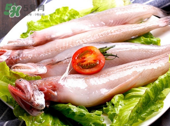 龍頭魚是海魚嗎？龍頭魚是海鮮嗎