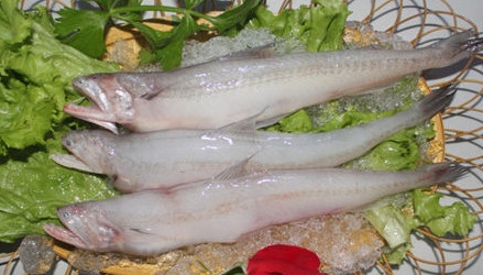 龍頭魚(yú)怎么做好吃？龍頭魚(yú)干怎么做好吃