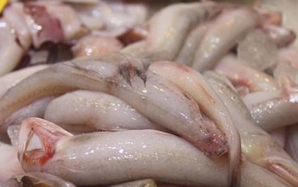 龍頭魚(yú)怎么做好吃？龍頭魚(yú)干怎么做好吃