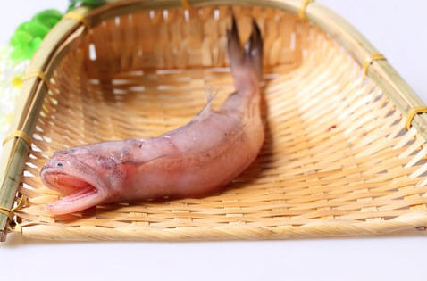 龍頭魚(yú)怎么做好吃？龍頭魚(yú)干怎么做好吃