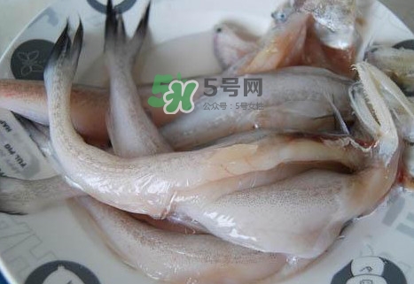 龍頭魚怎么殺？龍頭魚怎么處理？
