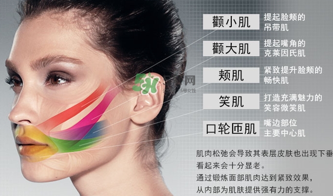 mtg pao瘦臉器多少錢？pao瘦臉神器日本專柜價格