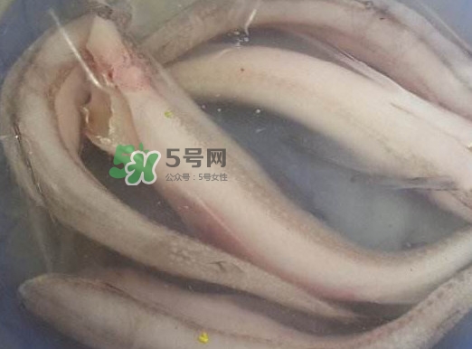 買龍頭魚怎么挑選？冰凍龍頭魚怎么去內臟