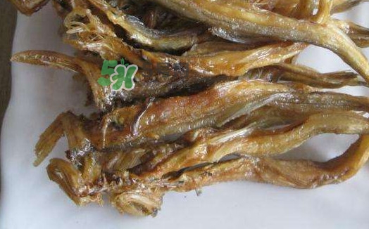 水潺湯怎么做？水潺燉豆腐的做法