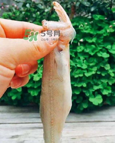 水潺怎么讀？水潺是海鮮嗎