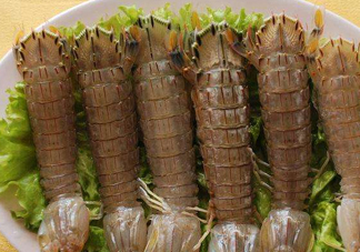 蝦蛄是皮皮蝦嗎？蝦蛄和皮皮蝦的區(qū)別