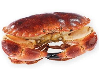 面包蟹和帝王蟹哪個好吃？面包蟹好吃還是帝王蟹好吃？