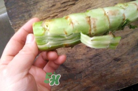 青筍怎么做好吃？青筍怎么去皮快