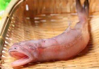 龍頭魚身是什么神獸？龍頭魚身是什么寓意