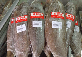 龍利魚怎么挑選？龍利魚與越南巴沙魚的區(qū)別