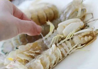 蝦蛄怎么讀？蝦蛄多少錢一斤