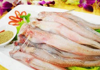 龍頭魚孕婦可以吃嗎？孕婦能吃龍頭魚嗎