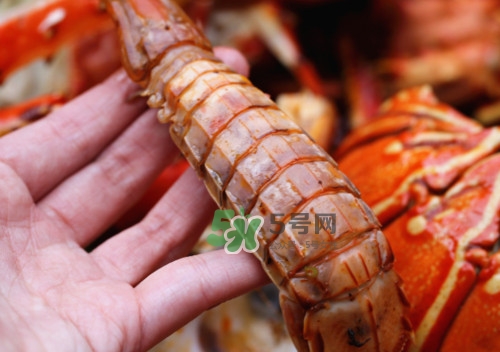 蝦蛄怎么吃？蝦蛄怎么做好吃？
