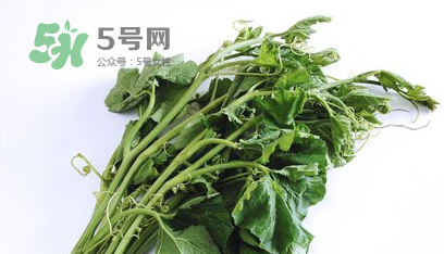 南瓜苗怎么做好吃？南瓜苗怎么撕？