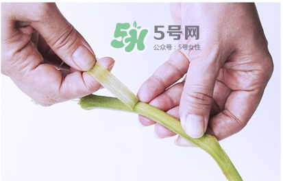 南瓜苗怎么做好吃？南瓜苗怎么撕？