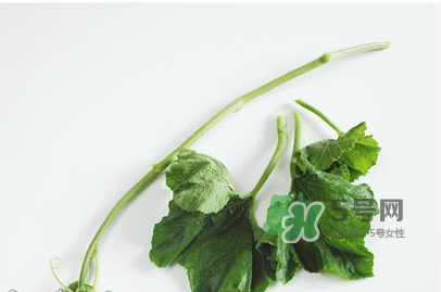 南瓜苗怎么做好吃？南瓜苗怎么撕？